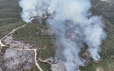 الحرائق مستمرة لليوم الرابع على التوالي في منطقة ربيعة بريف اللاذقية غربي سوريا