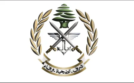 الجيش: عمليات دهم وتوقيف 35 شخصًا لإطلاقهم النار في محافظتَي لبنان الشماليّ وعكار