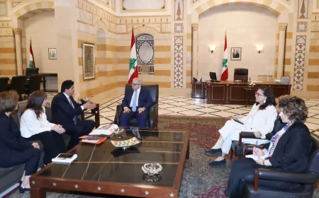 سلام يستقبل ريزا:بحث المبادرات الخاصة لانعاش الحياة الاقتصادية