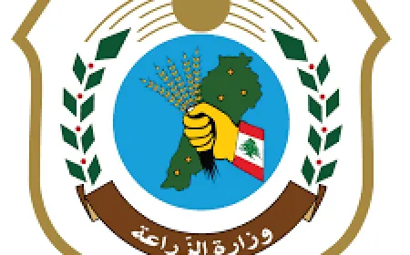 الزراعة": مصادرة كميات من الأسماك لا تستوفي القياس القانوني في مرفأي الدورة والأوزاعي