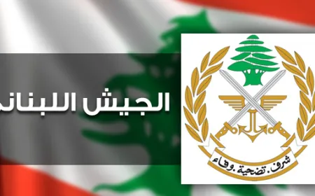 الجيش: توقيف مواطنين لترويجهما المخدرات وقيامهما بأعمال سرقة وسلب بقوة السلاح