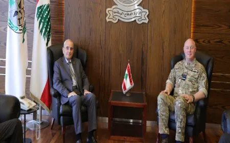 منسى: للضغط على إسرائيل من أجل الانسحاب من الجنوب