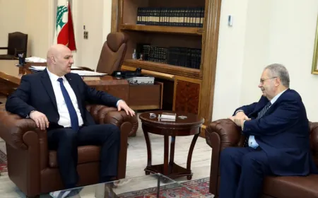 متري يطلع الرئيس عون على نتائج زيارتيه إلى فرنسا وقطر وأعمال اللجان الوزارية