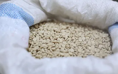 سوريا: ضبط 9 ملايين حبة كبتاغون كانت معدّة للتهريب إلى تركيا