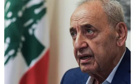 الرئيس بري يدعو الى جلسة مشتركة للجان النيابية الثلاثاء المقبل