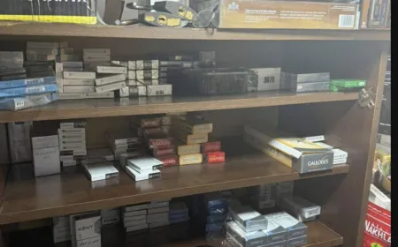 "الريجي" ضبطت مصنوعات تبغية مهرّبة ومزوّرة في الفرزل وبئر حسن