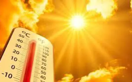 الطقس حار... الحرارة تتخطى الـ30 درجة!