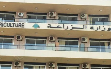 وزارة الزراعة: البرازيل قررت إلغاء الرسوم الجمركية على استيراد زيت الزيتون اللبناني