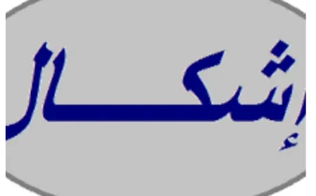اشكال واطلاق نار في بلدة كامد اللوز ومداهمة للجيش