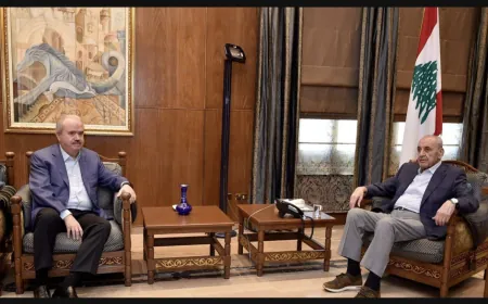 جابر نقلا عن بري: المجلس جاهز لمناقشة وإقرار أي قانون يسهل خطة المالية والمصرف المركزي