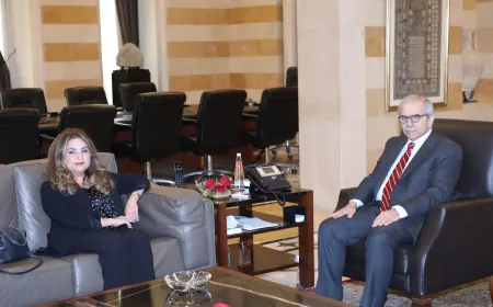 إستقبل الرئيس نواف سلام اليوم في السرايا رئيس مجلس امناء وقف البر والإحسان ورئيس مجلس امناء جامعة بيروت العربية الدكتور عمار حوري