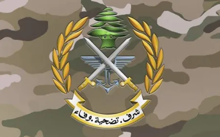 الجيش يلقي القبض على منفذ جريمة الشواغير