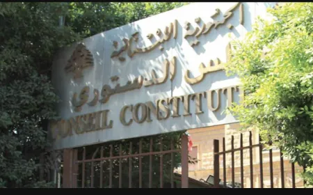 المجلس الدستوري يردّ طعن قانون تمديد خدمة الضبّاط من رتبة عميد...
