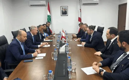 رجّي بحث مع وفد برلمانيّ من جورجيا في العلاقات الثنائية