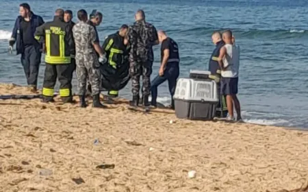 معلومات أولية عن العثور على جثة نهشتها الكلاب على شاطئ الرملة البيضاء