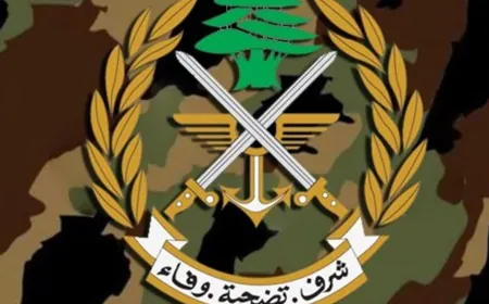 الجيش: هبة مالية من قطر بهدف دعم عناصر المؤسسة العسكرية