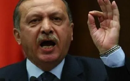 اردوغان: نناشد زيادة إنجاب الأطفال