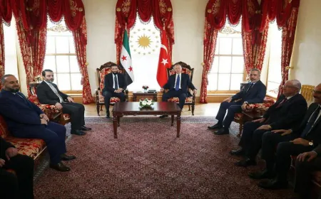 لقاء يجمع إردوغان والشرع في إسطنبول