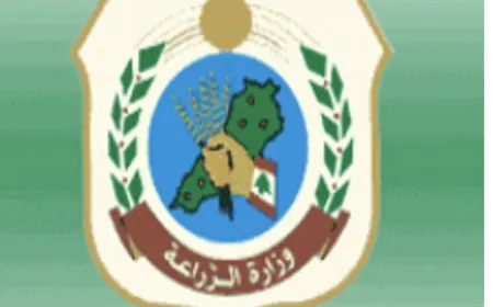 وزارة الزراعة تابعت حادثة شاطئ الرملة البيضاء: إجراءات فورية لمعالجة ظاهرة الكلاب الشاردة