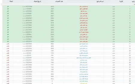 النتائج النهائية الغير رسمية لانتخابات بلدية جزين - عين مجدلين: