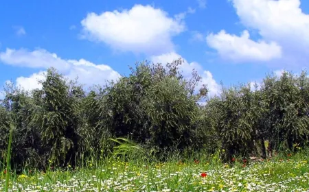 طقس ربيعيّ حار يشتد الاثنين