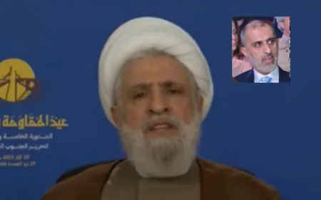 نعيم قاسم... من أنتم لتحكموا لبنان؟ سلّموا سلاحكم، لقد دمرتم الجنوب والضاحية!