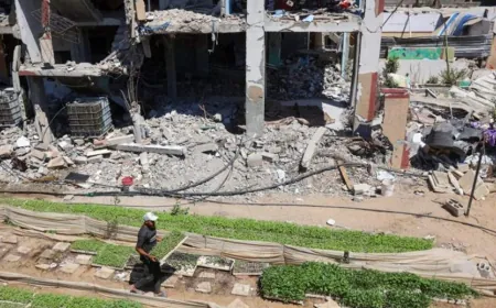 تقييمٍ للأمم المتحدة: لا يمكن زراعة سوى أقل من خمسة في المئة من الأراضي الزراعية في غزة