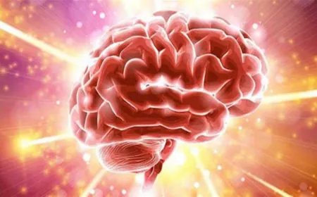 العلاقة بين الزهايمر والجلوس لفترات طويلة