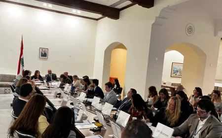 السيد ترأست اجتماع "الخبراء المتخصصين بخطة لبنان الاستجابة": لإنجاز خطة العودة وتنفيذها سريعا