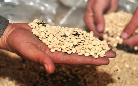 إحباط محاولة تهريب شحنة مخدرات ضخمة من سوريا إلى السعودية