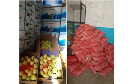 شحنات زراعية مهرّبة... وفرض غرامات بالملايين