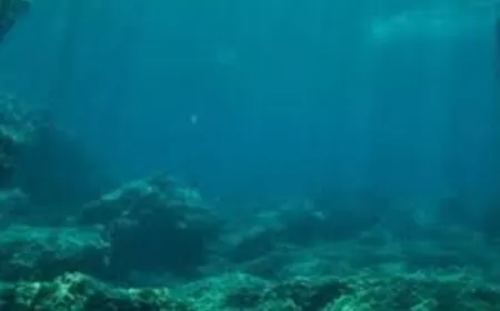 جمجمة مدفونة منذ 140 ألف عام بقاع المحيط.. قد تعيد رسم أصل البشر