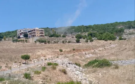 معلومات عن غارة من مسيرة تستهدف حرش علي الطاهر في بلدة النبطية الفوقا