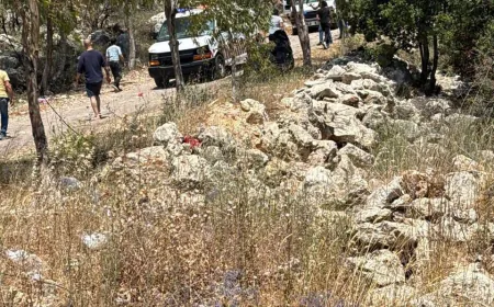 استشهاد عامل في بلدية النبطية الفوقا جراء غارة من مسيرة استهدفته عندما وصل إلى حرش علي الطاهر لتشغيل محطة المياه