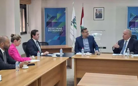 وزير الاتصالات بحث مع مسؤول "ستارلينك" في استفادة لبنان من خدمات الشركة