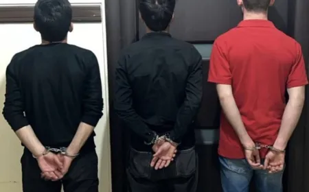 هويات للبيع وتزوير.. ما القصة؟