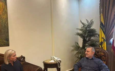 الحاج وفيق صفا اجتمع ببلاسخارت وبحث معها في الـ1701 والتطورات الراهنة في الجنوب