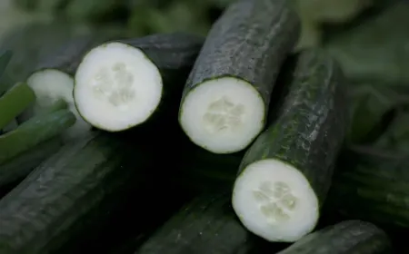 السالمونيلا تنتشر في 18 ولاية أميركية بسبب الخيار... وإصابة العشرات بتسمم غذائي