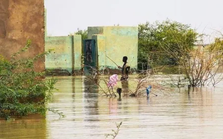 ,,ارتفاع عدد الوفيات جراء سيول نيجيريا إلى 151 شخصا