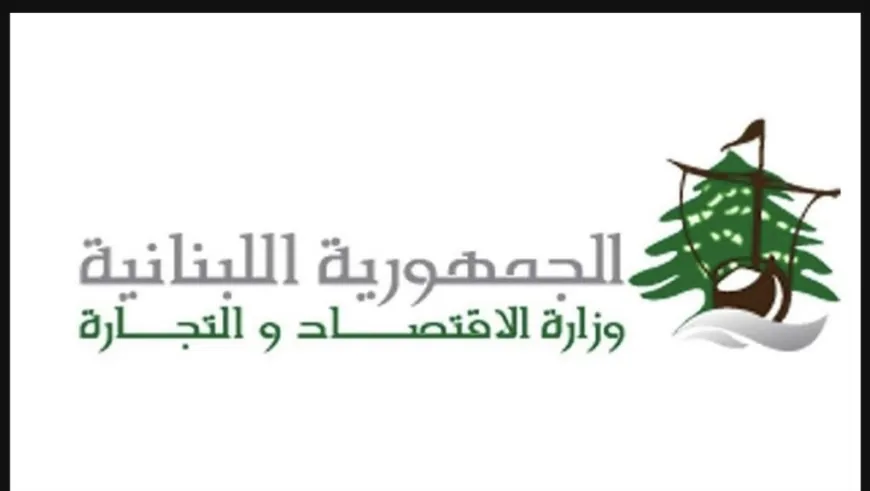 15 محضر ضبط جنوبًا في حق أصحاب مولدات مخالفين لتسعيرة وزارة الطاقة