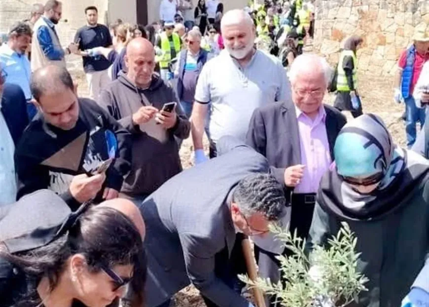 وزارة الزراعة تواصل حماية الزيتون المعمّر في الجنوب