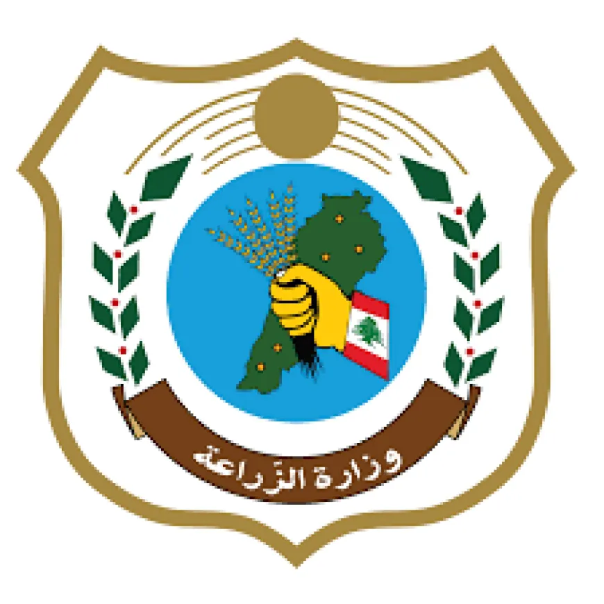 الزراعة": مصادرة كميات من الأسماك لا تستوفي القياس القانوني في مرفأي الدورة والأوزاعي
