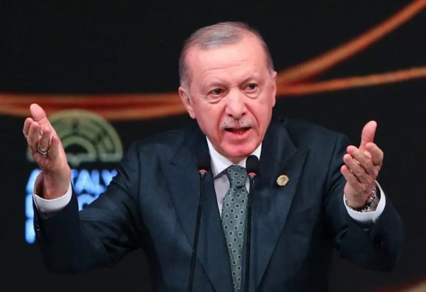 أردوغان: يجب اغتنام الفرصة لإحلال السلام بين روسيا وأوكرانيا