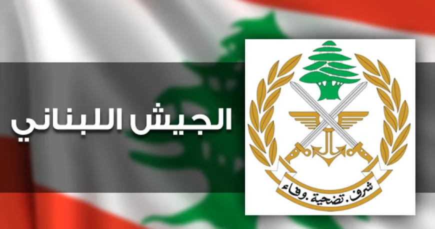 الجيش: توقيف مواطنين لترويجهما المخدرات وقيامهما بأعمال سرقة وسلب بقوة السلاح