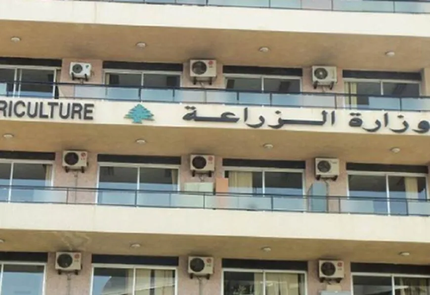 وزارة الزراعة: البرازيل قررت إلغاء الرسوم الجمركية على استيراد زيت الزيتون اللبناني
