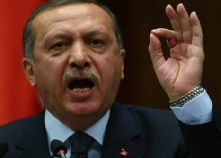 اردوغان: نناشد زيادة إنجاب الأطفال