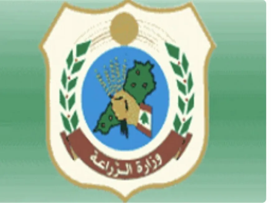 وزارة الزراعة تابعت حادثة شاطئ الرملة البيضاء: إجراءات فورية لمعالجة ظاهرة الكلاب الشاردة