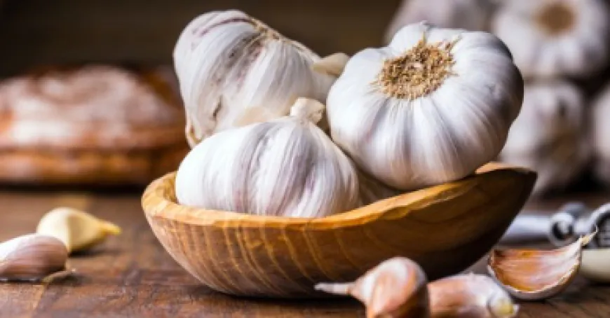 5 أطعمة مذهلة لتجديد الخلايا ومحاربة الشيخوخة.. أبرزها الثوم
