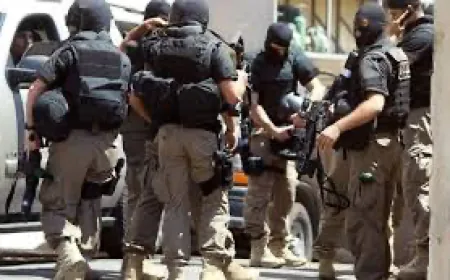 عملية مشتركة بين ” فرع المعلومات ” وأمن المقاومة توقع بعميل .