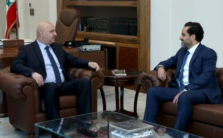 رئيس الجمهورية بحث مع الدويهي مسار تنفيذ القرار 1701